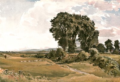 Manzara, Wareham yakınlarında, Dorset - Bir Açık Hava Eskizi, c1900. by Unbekannt