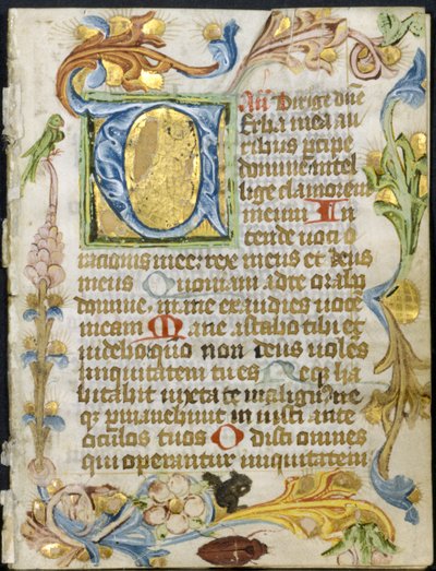 Saatler Kitabından Yaprak: Çiçek Bordürlü İlk V, c. 1460-1500. by Unbekannt