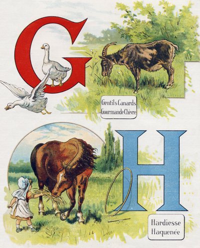 G ve H Harfi: İyi ördekler, açgözlü keçi, cesaret ve Haquenee. "ABC L
