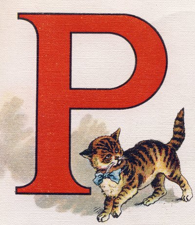P harfi: küçük kedi. "ABC L