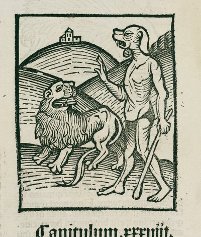 Aslan ve efsanevi 'cephos' by Unbekannt