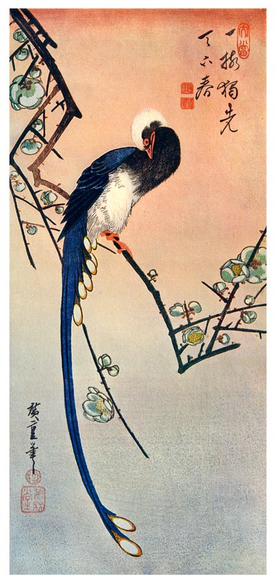 Blossom