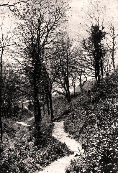 Aşıklar Yolu, Fairlight, Hastings, Sussex by Unbekannt