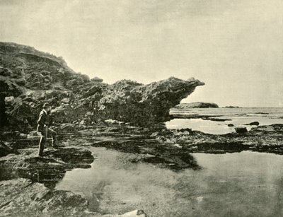 Alçak Gelgit, Shelly Sahili, Warrnambool, 1901. by Unbekannt