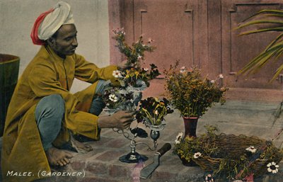 Erkek. Bahçıvan, c1910. by Unbekannt
