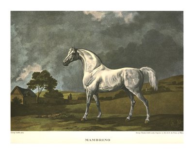 Mambrino, c1779, c1955. by Unbekannt