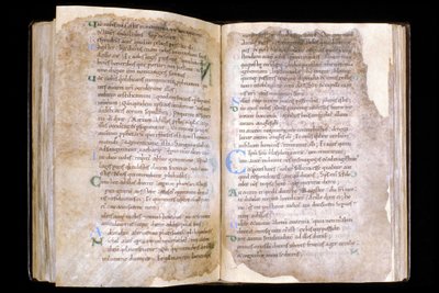 Manche N* 066, Mortain Şehri, Saint Evroult kolej kilisesinin hazinesi, 10. yüzyıldan İncil kitabı. by Unbekannt