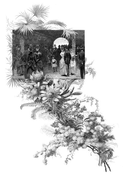 Erkekçe kır çiçeği gösterisi, Sidney, Yeni Güney Galler, Avustralya, 1886 by Unbekannt