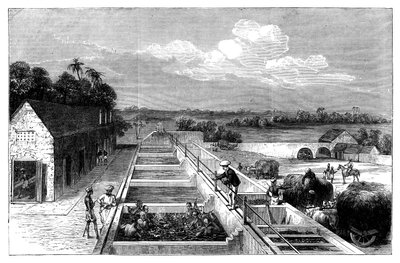 Tirhoot Muzaffarpur