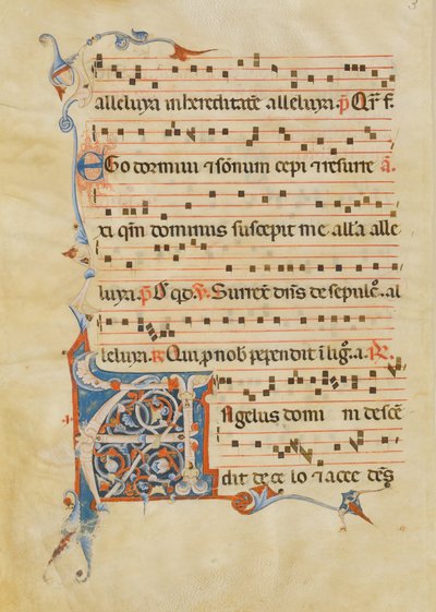Bir Antiphonary, İtalyanca, 14. yüzyıldan kalma Yapraklı İlk A ile El Yazması Yaprağı. by Unbekannt