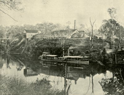 Grafton yakınlarındaki Et İşleri, Yeni Güney Galler, 1901. by Unbekannt