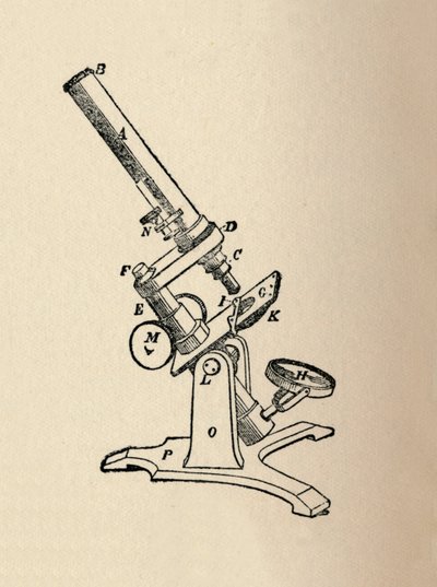 Mikroskop, 1912 by Unbekannt