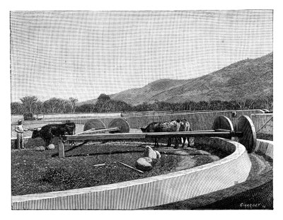 Kahve kabuğu soyma değirmeni, Orta Amerika, c1890 by Unbekannt