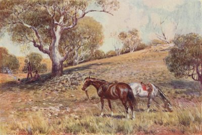 Maden Müfettişleri, 1923. by Unbekannt