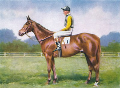Mors Kodu, Jokey: D. Morgan, 1939 by Unbekannt