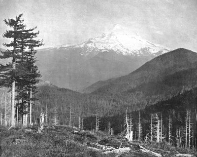 Hood Dağı, Oregon, ABD, c1900. by Unbekannt