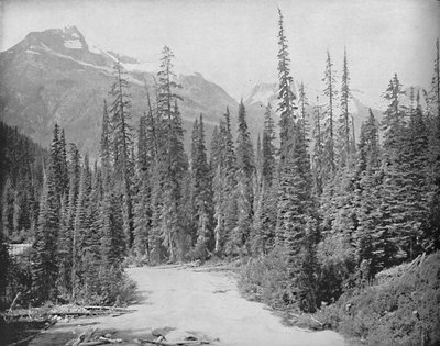 Mounts Cheops ve Hermit, Selkirk Range of the Rockies, c1897. by Unbekannt