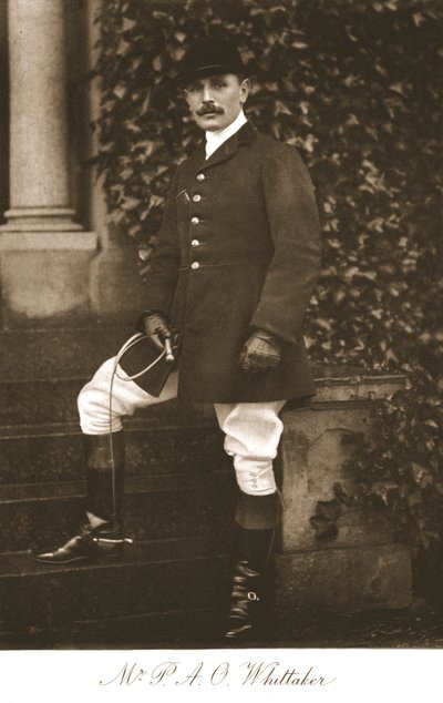 Bay P.A.O. Whittaker, 1911. by Unbekannt