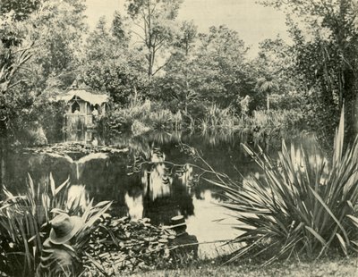 Bay Ryans Bahçeleri, Makedon Dağı, Victoria, 1901. by Unbekannt