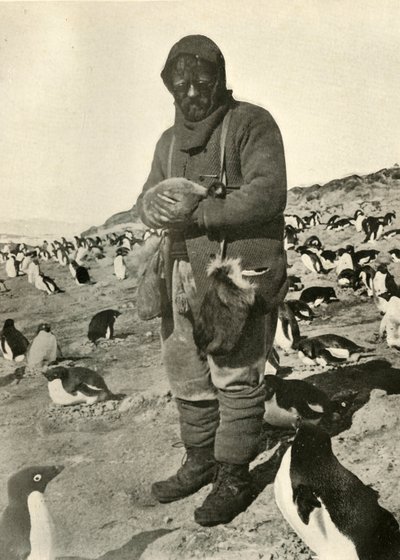 Murray Holding Genç Penguenler, c1908, 1909. by Unbekannt