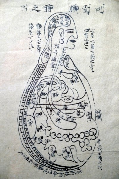 Geleneksel Vietnam Tıbbı Müzesi, Kanallar ve damarlar, Akupunktur Kitabı, Ho Chi Minh Şehri, Vietnam by Unbekannt