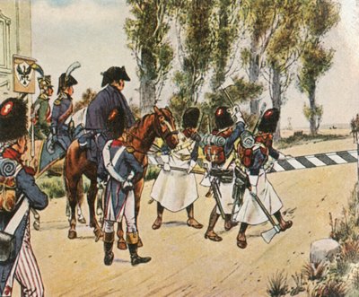 Napolyon birlikleri, Avusturya