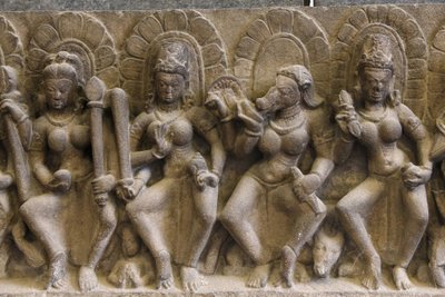 Hindistan Ulusal Müzesi, Delhi. Saptamatrikas (yedi ilahi anne). Pratihara by Unbekannt