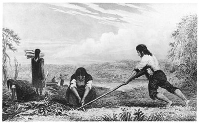 Chiloe, Patagonya yerlileri, pulluk kullanarak, 1839 by Unbekannt
