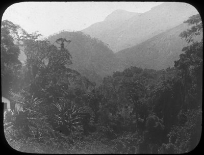 Petrópolis yakınlarında, Rio de Janeiro, Brezilya, 19. yüzyılın sonları veya 20. yüzyılın başlarında by Unbekannt
