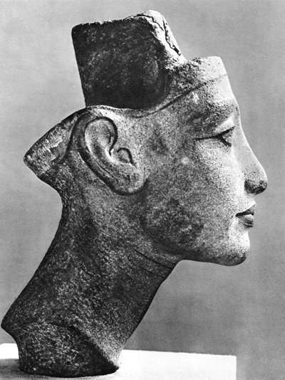Nefertiti, Firavun Akhenaten