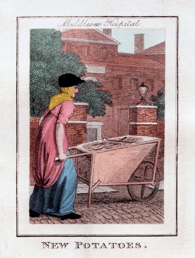 Yeni Patates, Middlesex Hastanesi, Londra, 1805 by Unbekannt