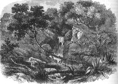 Yeni Zelanda Manzarası, c1880 by Unbekannt