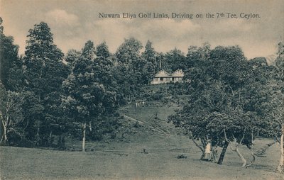 Nuwara Eliya Golf Links, 7. Tee