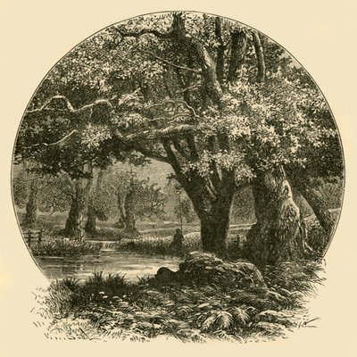 Bradgate
