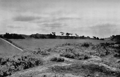 Offas Dyke bir tepeyi geçerken, Denbighshire, Galler, 1935 by Unbekannt