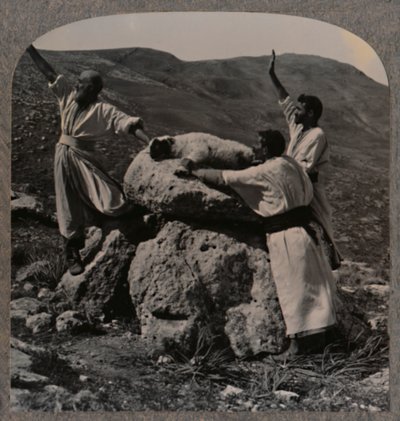 Sunakta kuzu kurbanı sunmak, Moreh, c1900 by Unbekannt