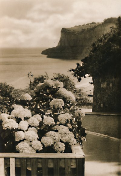 Eski Shanklin Başkanı, I.W., c1920. by Unbekannt
