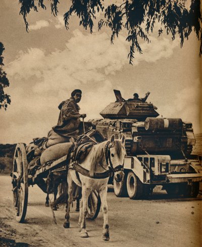 Kuzey Afrika
