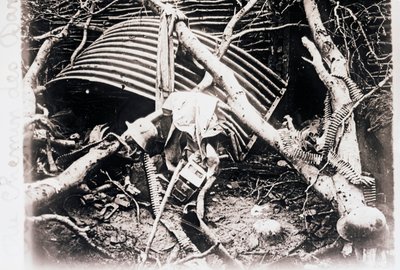 Chemin des Dames, kuzey Fransa, c1914-c1918 by Unbekannt