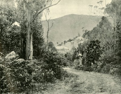 Illawarra Yolu üzerinde, N.S.W., 1901. by Unbekannt