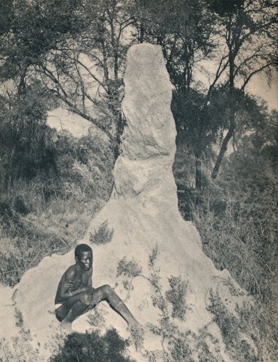 Güney Afrika