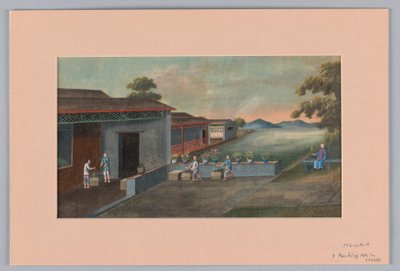 Sandıklarda Çay Paketleme, 1890–1910 by Unbekannt