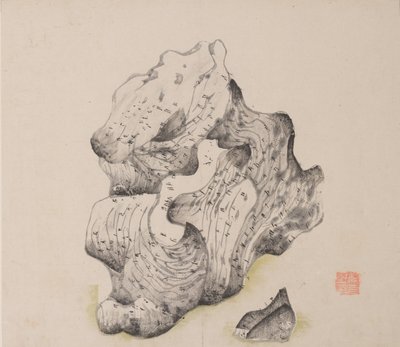 Ayrıca shi Z kaplan Z