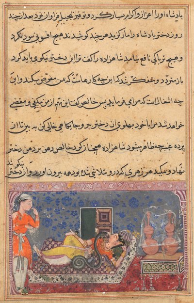 Bir Papağan Masalları Tuti-nama