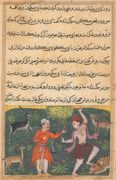 Bir Papağan Masalları Tuti-nama