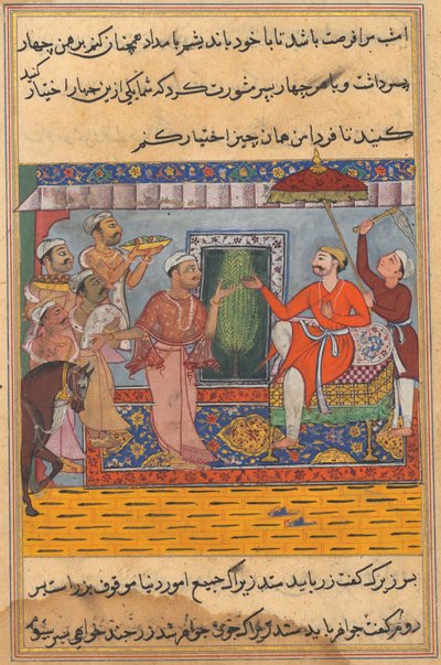Bir Papağan Masalları Tuti-nama