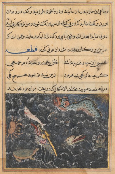 Bir Papağan Masalları Tuti-nama
