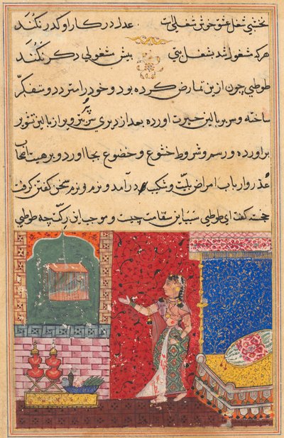 Bir Papağan Masallarından Sayfa Tuti-nama: On beşinci gece: Papağan Khujasta
