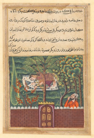 Bir Papağan Masalları Tuti-nama