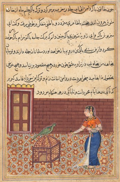 Bir Papağan Masallarından Sayfa Tuti-nama: Elli birinci gece: Papağan Khujasta'ya hitap ediyor..., c. 156 by Unbekannt